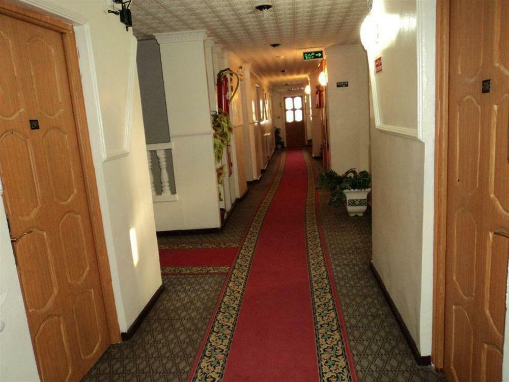 Mimosa Palace Άναμπα Εξωτερικό φωτογραφία